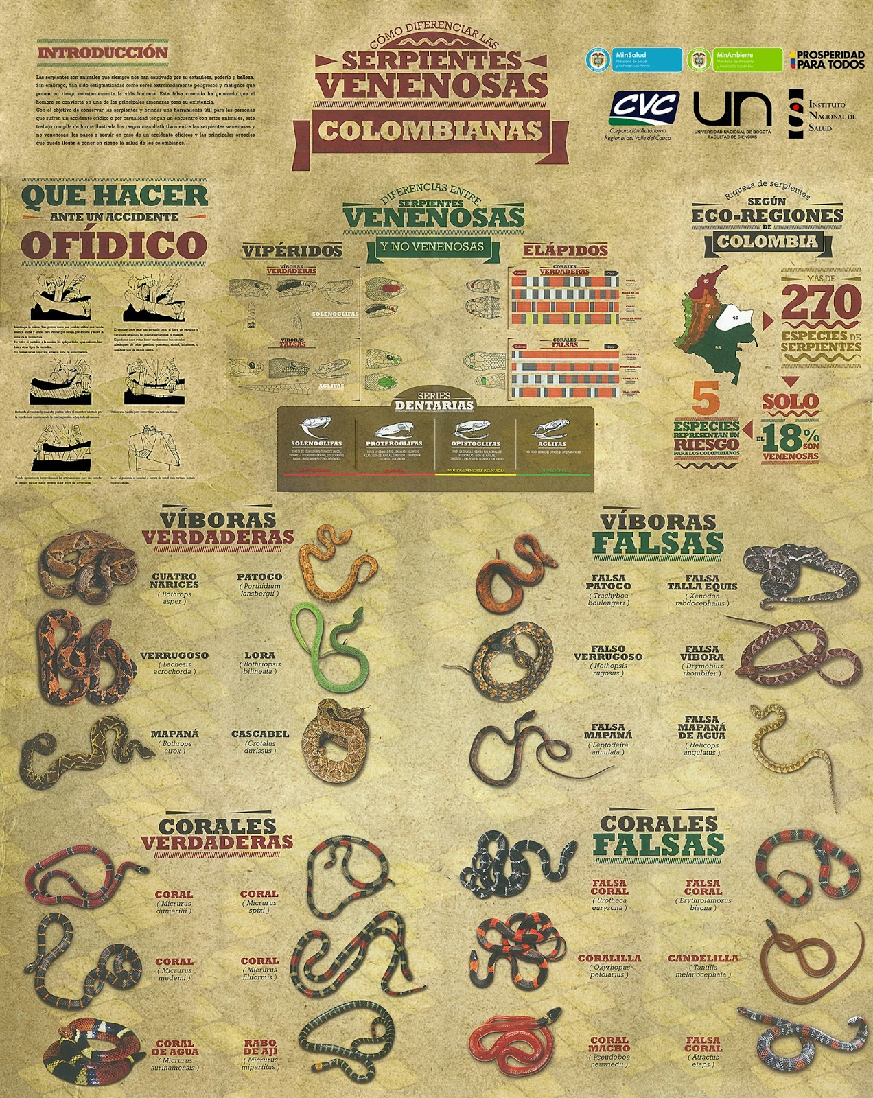 serpientes venenosas de colombia